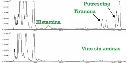 fig4 ciencia96 2b